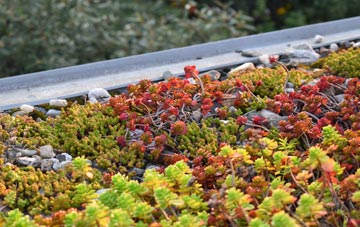 the cost of Kilvaxter green roof installation