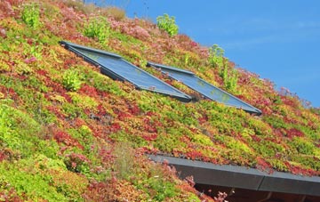 Kilvaxter living roof systems