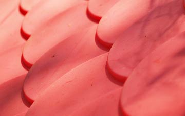 Kilvaxter plastic roof costs