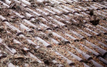 Kilvaxter roof cleaning companies